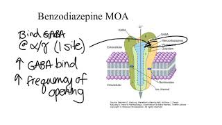 Anxiolytics amp SedativeHypnotics [upl. by Hsirrehc76]