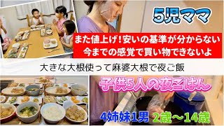 【夜ご飯】値上げ‼︎安いの基準が分からなくなってきた。麻婆大根で子供5人の夜ごはん [upl. by Andrew]