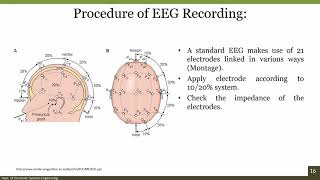 Fundamentals of EEG Signal [upl. by Fransen]