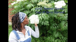 Early July Garden Tour amp Berry Harvest [upl. by Favin]