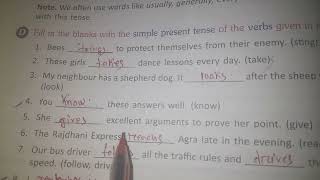 Simple present tense  Solve some example of simple present tense class 5 grammer [upl. by Eltsyrk]