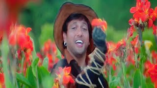 Thehro To Sahi Socho To ZaraMaharaja 1998 Full Video Song Govinda Manisha Koirala [upl. by Ainerbas]