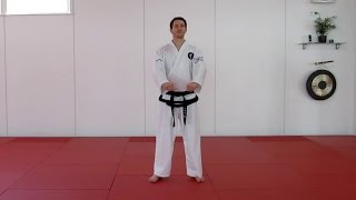 1 HYONG  CHONJI langsam  Taekwondo Form [upl. by Ellac]