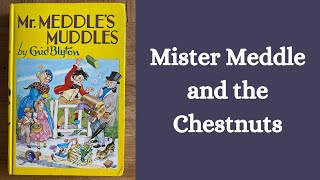 Mister Meddle and the Chestnuts  Enid Blyton  Read Aloud [upl. by Annaira]