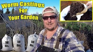 The Absolute Easiest Way To Harvest Worm Castings For Your Garden [upl. by Atikahc985]