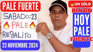 NÚMEROS PARA HOY SÁBADO 23 NOVIEMBRE 2024 🔥 PALÉ FUERTE 🔥 NUMEROLOGÍA [upl. by Nerine]