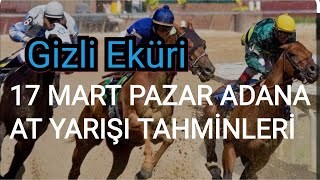 17 MART 2024 PAZAR ADANA AT YARIŞI TAHMİNLERİ GİZLİ EKÜRİ KANALİMİZDA [upl. by Larsen]