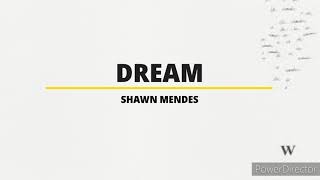 Dream  Shawns Mendes karaoke [upl. by Inge]