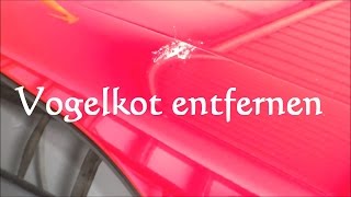 Vogelkot Auto entfernen schonend vom Autolack entfernen  Vogeldreck am Auto entfernen [upl. by Imojean]