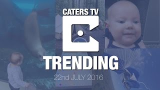 Trending Videos Vol 6 22nd July 2016 [upl. by Waligore440]