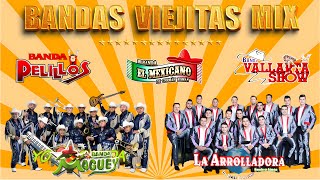 Banda Viejitas Mix Banda Maguey La Arrolladora Banda Pelillos Banda El Mexicano Vallarta Show [upl. by Ayahc794]