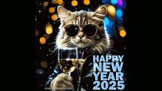 2025 Happy new year clock countdown fireworks Comic Funny video Gifs and Wallpapers [upl. by Timon373]