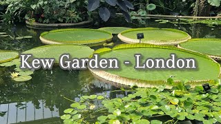 A day in Kew Garden London  Rose Rhododendron Japanese Gardens and so much more [upl. by Acira]