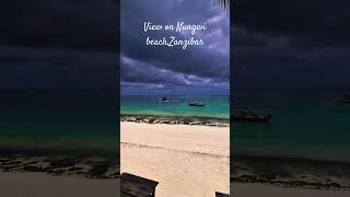 Experience the REAL Zanzibar at Nungwi Beach [upl. by Janenna752]