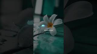 paarvai konjam pesuthu song status 😘💞🦋✨️tamilsongstatus watsappstatus trendingshorts [upl. by Milas]