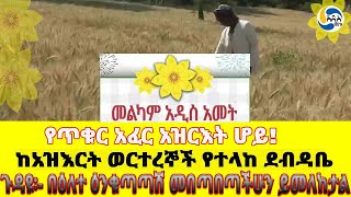 የጥቁር አፈር አዝርእት ሆይ፤ከአዝእርት ወርተረኞች የተላከ ደብዳቤ፤ጉዳዩ፡ በዕለተ ዕንቁጣጣሽ መበጣበጣችሁን ይመለከታል Ethiopian New Year [upl. by Hannaoj804]