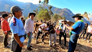 HERRANZA de VACASCHILCAPATA Familia DURAN CAMPOS  Huancavelica  Tito Ramirez Luján [upl. by Assert30]