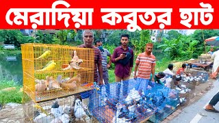 মেরাদিয়া কবুতর হাট ২৩১০২০২৪  kobutor hat 2024  bangladesh pigeon market  meradiya kobutor hat [upl. by Anyer]