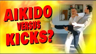 AIKIDO VERSUS KICKS [upl. by Maer578]