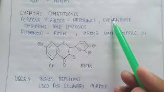 Ruta in pharmacognosy  Ruta Flavonoids  Rutin  Acridone alkaloids  uses of Ruta pharmacognosy [upl. by Schechter885]