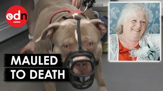 Grandmother Killed By XL Bully Dogs While Visiting Grandson [upl. by Rome]