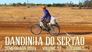 Dandinha do Sertão episódio 5 [upl. by Medardas118]