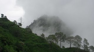 34 Biswa plot for sale near kasauli  kanda road  metalled road Himachal819 [upl. by Ambrosane]