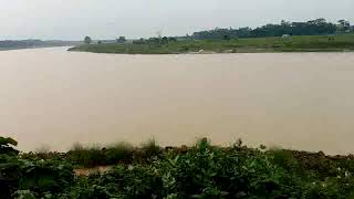 Dolphin Platanista gangetica in The Old Brahmaputra River at Baroigram Fish Sanctuary Mymensingh [upl. by Erwin]