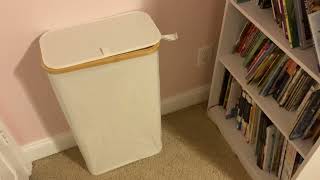 Review of the Lifewit 65L Slim Laundry Hamper with Lid Narrow Laundry Basket with Removable Bag [upl. by Atteynek152]