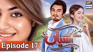 Moray Saiyaan Episode 17  28th February 2017  ARY Digital Drama [upl. by Ettezzil251]