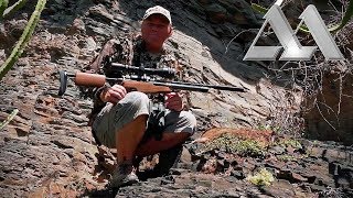 Airgun Hunting Dassies in South Africa with the Air Arms S410 TDR [upl. by Ahsiekim107]