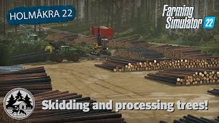 MAKING THE BIGGEST LANDING EVER  FS22  Forestry  Holmåkra 22  Timelapse  E12 [upl. by Cerveny828]