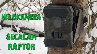 Wildkamera SecaCam Raptor [upl. by Yedoc140]