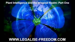 Stephen Buhner  Plant Intelligence and the Imaginal Realm Part One [upl. by Anyek364]