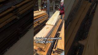 The Stunning Beauty of Larch Wood [upl. by Annmarie]