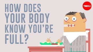 How does your body know youre full  Hilary Coller [upl. by Craw641]