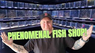 I JUST had to GO BACK to this PHENOMENAL FISH SHOP  Pier Aquatics [upl. by Ardys]