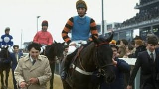 The Wonderful Burrough Hill Lad Timeform Rated 184 in 1984All Races bar oneHRL [upl. by Dleifxam]