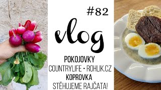 VLOG 82  naše pokojovky CountryLife amp Rohlík koprovka zahrada 🌱 [upl. by Dnomal]