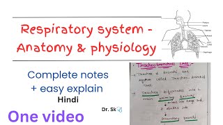 Complete Respiratory System  Anatomy amp Physiology notes in one video  hindi  easy explanation [upl. by Lydia]