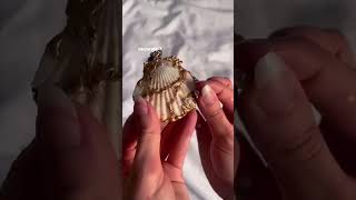 Diy seashell necklace diy aesthic craft trendingshorts [upl. by Llewej]