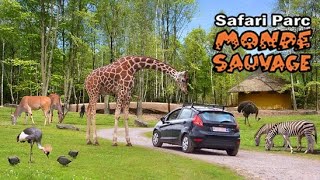 Safari Park Monde Sauvage  Belgium [upl. by Alliuqa]