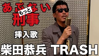 もっとあぶない刑事 挿入歌 柴田恭兵 TRASH を歌ってみた [upl. by Etka65]