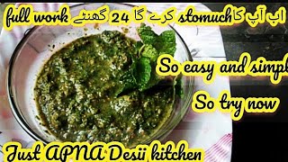 Pudina Anardana ki Chatni Recipe  Anardana Chutney  Green Chutney Recipe by Apna Desii Kitchen [upl. by Alaek]