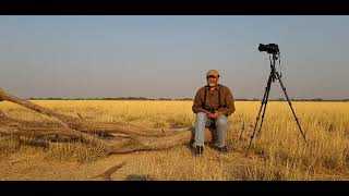 Birds And Wildlife Of Tal Chappar Rajasthan [upl. by Aniarrol]