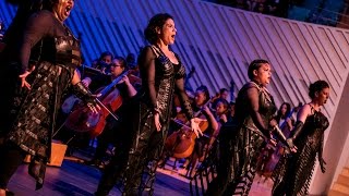 Die Walküre Act III sc i amp ii Highlights [upl. by Terrilyn]