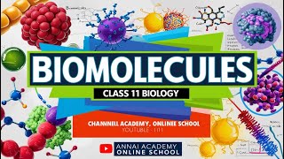 Biomolecules Decoded Unlocking Class 11 Biology [upl. by Tisman]