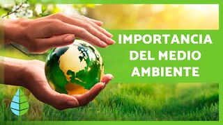 La IMPORTANCIA de CUIDAR el MEDIO AMBIENTE 🌏🌿 [upl. by Burr]