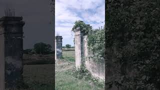 Villa Veneta abbandonata Fossalta di Portogruaro urbex abbandonata shorts [upl. by Adeys]