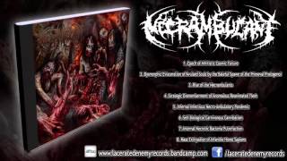 Necrambulant  Infernal Infectious Necro​  ​Ambulatory Pandemic FULL ALBUMHD [upl. by Lessur]